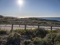 a railing in front of the ocean with a beach and sun in the distance and some bushes