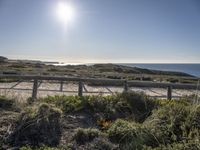 a railing in front of the ocean with a beach and sun in the distance and some bushes