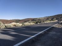 European Highway: Tar Lane Surrounded by Nature