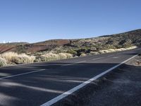 European Highway: Tar Lane Surrounded by Nature