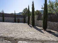 a tree - lined courtyard outside a stone building in an old european city center with many tall trees and a small entrance