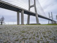 the city park is set under a bridge to provide pedestrians a better fit through the roadway