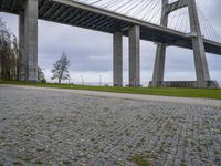 the city park is set under a bridge to provide pedestrians a better fit through the roadway