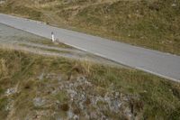 a man on a mountain road next to a hill with a bicycle in it and two dogs in the grass