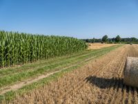 a farm field with a row of corn fields behind a bale of hay on the side of a road