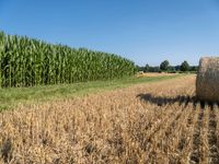 a farm field with a row of corn fields behind a bale of hay on the side of a road