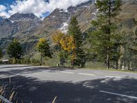 an empty road on the side of a mountain with trees on either side of it, and snow capped peaks in the background