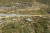 a sheep is walking down a steep hill by a road that goes to the top