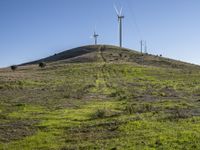 a green hill covered in tall white wind turbines in the background, with a clear blue sky