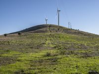 a green hill covered in tall white wind turbines in the background, with a clear blue sky