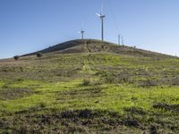 a green hill covered in tall white wind turbines in the background, with a clear blue sky