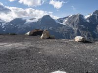 rocky ground with large stones on the top and snow covered mountain in background on sunny day