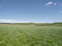 a green meadow with blue sky behind it and a white clouds in the background to the left of it