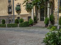 large yellow building with some plants and bushes in front of it for decoration or entertainment