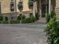 large yellow building with some plants and bushes in front of it for decoration or entertainment