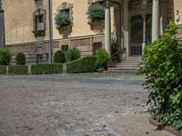 large yellow building with some plants and bushes in front of it for decoration or entertainment