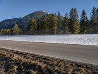 a single long motorcycle parked on the side of a road next to trees and snow