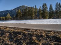 a single long motorcycle parked on the side of a road next to trees and snow