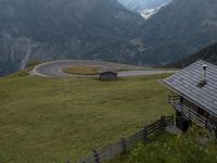 European Rural Scene: Grass and Trees