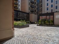 several plants sit in decorative concrete planters along the sidewalk of a building that is very modern