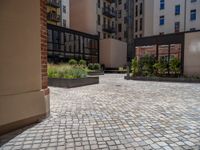 several plants sit in decorative concrete planters along the sidewalk of a building that is very modern