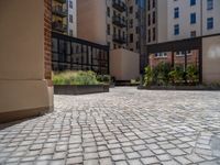 several plants sit in decorative concrete planters along the sidewalk of a building that is very modern