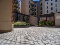 several plants sit in decorative concrete planters along the sidewalk of a building that is very modern