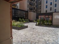 several plants sit in decorative concrete planters along the sidewalk of a building that is very modern