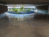 a parking garage with a circular parking area in the center with lots of plants growing on it