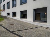 European Urban Entry: Cobblestone Driveway