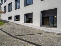 European Urban Entry: Cobblestone Driveway