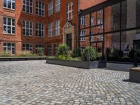 several plants sit in decorative concrete planters along the sidewalk of a building that is very modern