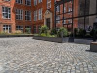 several plants sit in decorative concrete planters along the sidewalk of a building that is very modern