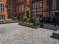 several plants sit in decorative concrete planters along the sidewalk of a building that is very modern