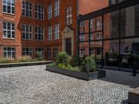 several plants sit in decorative concrete planters along the sidewalk of a building that is very modern