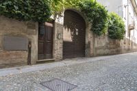 a side walk on the road has ivy growing on it and wooden doors that are lined with plants