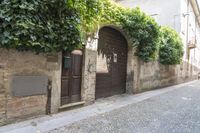 a side walk on the road has ivy growing on it and wooden doors that are lined with plants