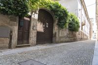 a side walk on the road has ivy growing on it and wooden doors that are lined with plants