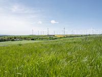 European Windmill Amidst Lush Green Landscape