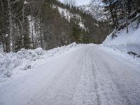 European Winter Nature Scene 001