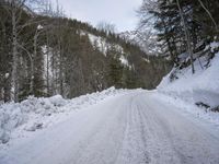 European Winter Nature Scene 002