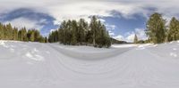 ski tracks going down a slope in front of a wooded area and a sky with clouds