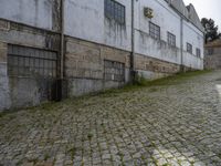 Europe's Rugged Vegetation Under Clear Sky in a Warehouse