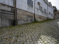 Europe's Rugged Vegetation Under Clear Sky in a Warehouse