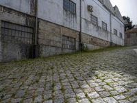 Europe's Rugged Vegetation Under Clear Sky in a Warehouse