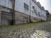 Europe's Rugged Vegetation Under Clear Sky in a Warehouse