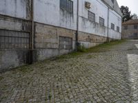 Europe's Rugged Vegetation Under Clear Sky in a Warehouse