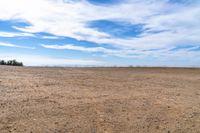 a field is shown with small patches of dirt in the background under a blue sky