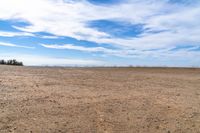 a field is shown with small patches of dirt in the background under a blue sky