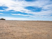 an empty dirt field with bare trees on top and some blue sky in the distance